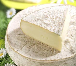 fromage-saint-nectaire-laitier