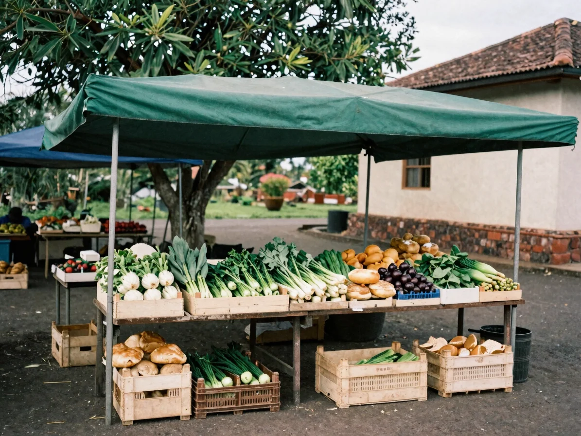 Documentary photograph of a small village market stall with crate